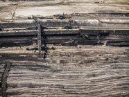Стрип-уголь — стоковое фото