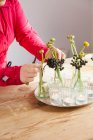 Primo piano di giovane donna che organizza fiori freschi e piante, colpo ritagliato — Foto stock