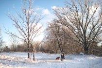Duas meninas com cão na paisagem nevada — Fotografia de Stock