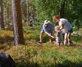 Батьки і дочки досліджують в лісі — стокове фото