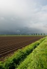 Campos arados bajo cielo nublado - foto de stock