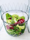 Wire bowl of mixed salad — Stock Photo