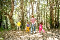 Family walking in forest — Stock Photo