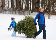 Padre e hijo llevando árbol de Navidad - foto de stock