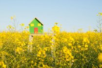 Musterhaus im Blumenfeld — Stockfoto