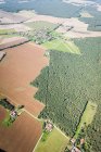 Вид с воздуха на лес и небольшой поселок — стоковое фото