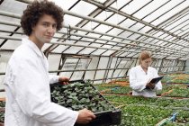 Horticulturists working together in greenhouse — Stock Photo