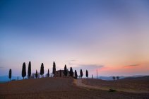 Árvores ciprestes da Toscana — Fotografia de Stock