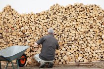 Älterer Mann stapelt Holz in Schubkarre — Stockfoto