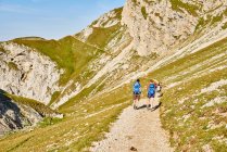 Visão traseira dos caminhantes no caminho da montanha, Áustria — Fotografia de Stock