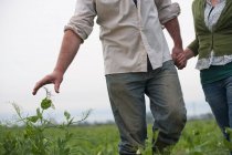 Coppia di agricoltori a piedi in campo — Foto stock