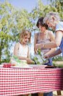 Multi generation family making picnic — Stock Photo