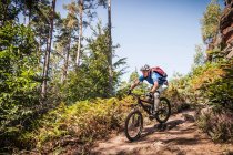 Mann mit Mountainbike durch Wald — Stockfoto