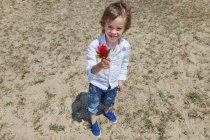 Boy holding flower on grassy beach — Stock Photo