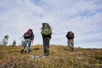 Rear view of three hikers with backpacks walking on hill — Stock Photo