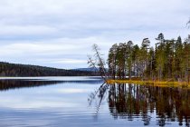 Vue des arbres et du lac contre le ciel bleu — Photo de stock