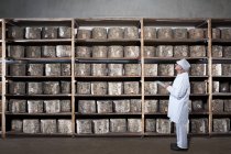 Travailleur du fromage avec presse-papiers dans l'entrepôt — Photo de stock