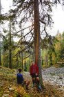 Trail runners resting by tree in forest, Kesankitunturi, Lapland, Finlândia — Fotografia de Stock