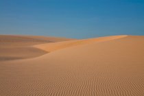 Desert sand dunes — Stock Photo