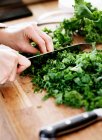 Immagine ritagliata di donna che taglia foglie di insalata — Foto stock