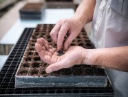 Close up partial view of worker in greenhouse planting seeds — Stock Photo