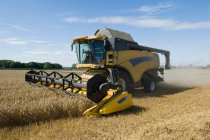 Drescher erntet Weizen auf dem Feld — Stockfoto