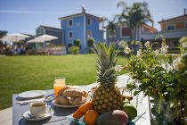 Ripe fruits on table at holiday resort with houses on background — Stock Photo