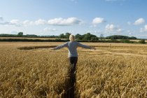 Вид сзади женщины, поднимающей руки в поле — стоковое фото