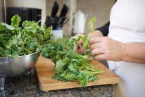 Abgeschnittenes Bild einer Frau, die Salatblätter wäscht — Stockfoto