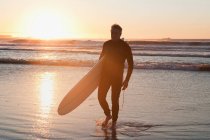 Surfista caminando en el agua al atardecer - foto de stock
