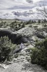 Randonnée pédestre père et fils au milieu de formations rocheuses, Bridger, Montana, USA — Photo de stock