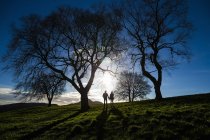 Молода пара тримати руки на Калтон пагорбі в Единбурзі, столиця Шотландії — стокове фото