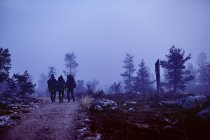 Vista trasera de tres excursionistas con mochilas caminando por sendero rural - foto de stock