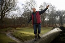 Rentner balanciert im Freien auf Baum — Stockfoto