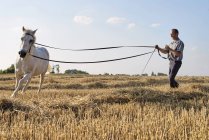 Uomo formazione cantering cavallo bianco in campo — Foto stock