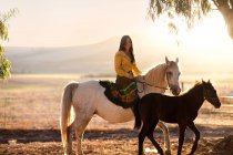 Junge Frau reitet Pferd — Stockfoto