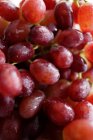 Ramo de uvas frescas - foto de stock