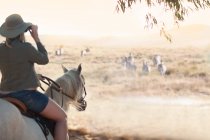 Женщина на коне наблюдает за дикой природой, Стелленбош, Южная Африка — стоковое фото