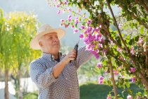 Older man gardening outdoors — Stock Photo