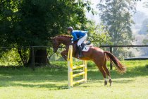 Pferd und Reiter Springreiten — Stockfoto