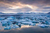 Айсберги плавают в ледниковых водах — стоковое фото