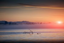 Névoa sobre o lago maggiore e céu nascer do sol — Fotografia de Stock