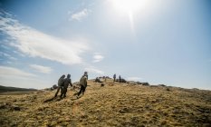 Grupo de seis adultos jóvenes haciendo senderismo en las montañas - foto de stock