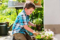 Хлопчик саджає квіти на відкритому повітрі — стокове фото