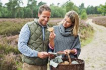 Mid adult couple foraging for mushrooms — Stock Photo