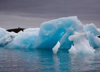 Glaciers floating on lake, selective focus — Stock Photo