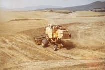 Cosechadora cosechadora cosechadora campo de trigo, Siena, Toscana, Italia - foto de stock