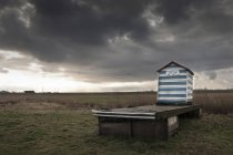 Beach hut with notice promoting boat trips, Aldeburgh, Suffolk, England — Stock Photo
