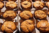 Frisch gebackene Muffins in Backform — Stockfoto