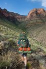 Вид сзади Man hiking in New Hance, Grandview Hike, Гранд-Каньон, Аризона, США — стоковое фото